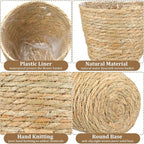 6 Pcs Seagrass Plant Basket with Plastic Liners Woven Stylish Planter Baskets Bulk Indoor Outdoor Plants Woven Wicker Baskets for Flower Pots Cover and Room Decor Small (Small,Rustic)
