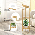 Plant Stand Plant pots Indoor Stands – Metal Flower Pots Stand Plant Shelf for Multiple Plants,2 Tier Removable Display Plant Table Gardeing Gifts for Living Room Outdoor Garden Balcony Décor Gold