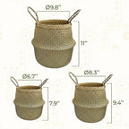 Seagrass Plant Basket Set of 3 with Handles – Handwoven Woven Basket Planter, Indoor Plant Basket & Plant Holder Basket, Natural Fiber Wicker Plant Pot Basket for Boho Farmhouse Home Decor