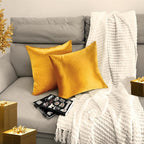 2 Pack 16x16 Pillow Cover Velvet Pillow Covers, Square Throw Pillow Covers for Living Room Decorations Throw Pillow Case, Throw Pillow Cover Cushion Cover for Home Sofa Bedroom Car, Dark Gold