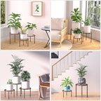 5-Pack Decent Metal Plant Stands, Heavy Duty Flower Pot Stands for Multiple Plant, Anti-Rust Iron Plant Pot Shelf, Decoration Racks for Home Indoor and Outdoor (5 Pack Bronze)