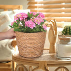 Veemoon 2pcs Wicker Planter Basket, Rustic Straw Woven Flower Basket Arrangement Flower for Plants Laundry Bin Storage Woven Plant Pot Hanging Seaweed Girl Toddler Hanging Seaweed 5. 11x5. 11x3. 54in