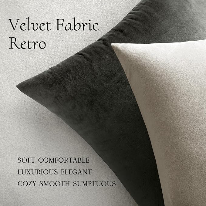 MIULEE Velvet Throw Pillow Covers 20x20 inch, Pack of 2 - Cream White, Soft Solid Decorative Pillow Covers Cushion Cases Modern Luxury Home Decor for Spring Couch Sofa Bedroom Livingroom