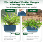 T4U 8 Inch Hanging Planters for Indoor Outdoor Plants, Self Watering Hanging Pot Pack of 2, Hanging Pots with Drainage Hole & Plug & Chain with 3 Hooks for Garden Home Decor, Blue