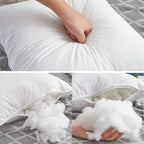 Oubonun 28 x 28 Euro Pillow Inserts with 100% Cotton Cover - Square Interior Sofa Decorative Throw Pillow Insert Set of 2 - White Couch Pillow