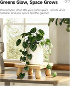 100% Solid Wood Plant Stand Indoor, Wooden Stool Display Stand, Riser Flower Pot Holder, Modern Plants Rack, Small Planter Tray for Home Decor, Living Room, Gardening, Natural (1PC)