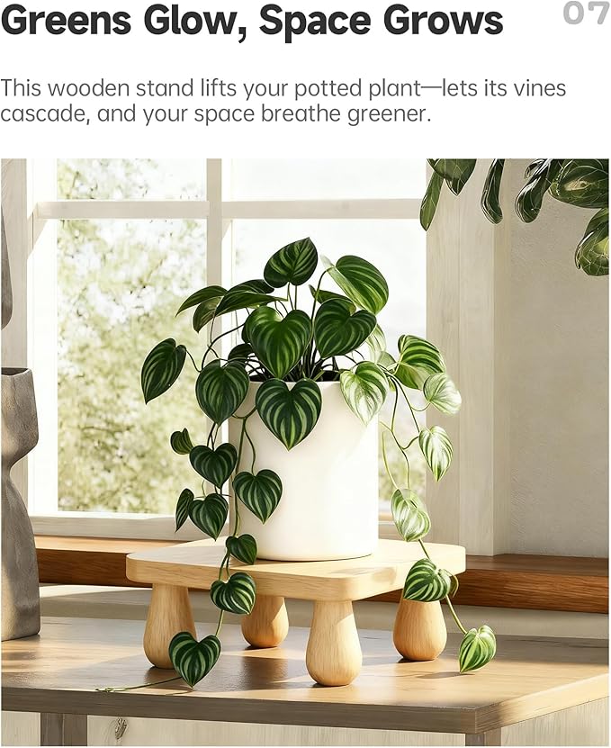 100% Solid Wood Plant Stand Indoor, Wooden Stool Display Stand, Riser Flower Pot Holder, Modern Plants Rack, Small Planter Tray for Home Decor, Living Room, Gardening, Natural (2PCS)
