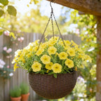 LaLaGreen Hanging Planters for Indoor Plants (11 Inch, 1 Pack) Brown Rattan Style Self-Watering Hanging Flower Pot with Water Level Indicator, Plastic Basket with Metal Chain for Balcony Porch Outdoor