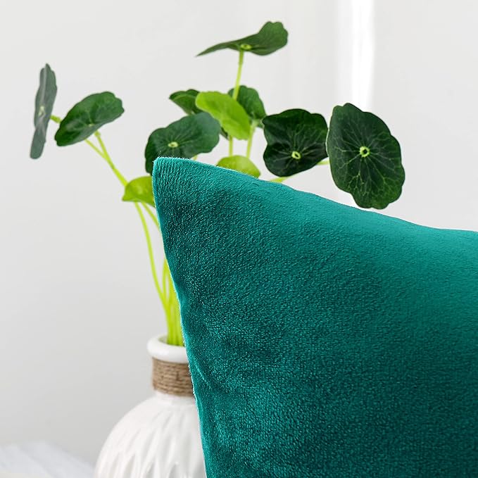 NiNi ALL Decorative Throw Pillow Covers Velvet Soft for Couch Sofa Bedroom Living Room Outdoor Pack of 2 18x18 Inch Teal