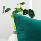 NiNi ALL Decorative Throw Pillow Covers Velvet Soft for Couch Sofa Bedroom Living Room Outdoor Pack of 2 20x20 Inch Teal