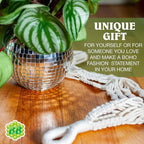 Macrame Plant Hanger with Short Rope (No Tassel) - 23 Inch - Cotton Macrame Cord for Boho Decor Flower Pots - Bohemian Chic Home Decor, Simple Indoor Outdoor Hanging Houseplants or Terrarium | 1 Pack