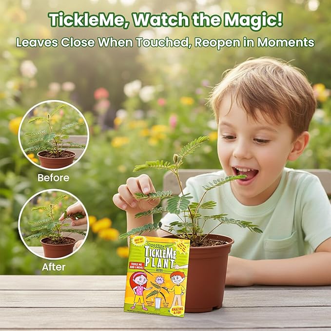 Easter Basket Stuffer – TickleMe Plant Party Favors (2 Pack) – Plant that Moves! Leaves Fold When Touched & Reopen – Kids Grow Kit with Seeds – Fun STEM Gift, Birthday Party Favor