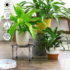 Garden Gifts Plant Lovers Gifts 3 Packs Black Metal Plant Stand with Anti-Slip Base Rustproof Heavy Duty Decorative Round Flower Stand Display Shelf for Indoor/Outdoor