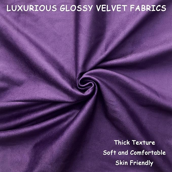 2 Pack 22x22 Pillow Cover Velvet Pillow Covers, Square Throw Pillow Covers for Living Room Decorations Throw Pillow Case, Throw Pillow Cover Cushion Cover for Sofa Bedroom Car, Eggplant Purple