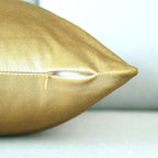 2 Pack Soft Velvet Couch Throw Pillow Covers 16x16 Inch for Sofa Living Room Bedroom (Gold)