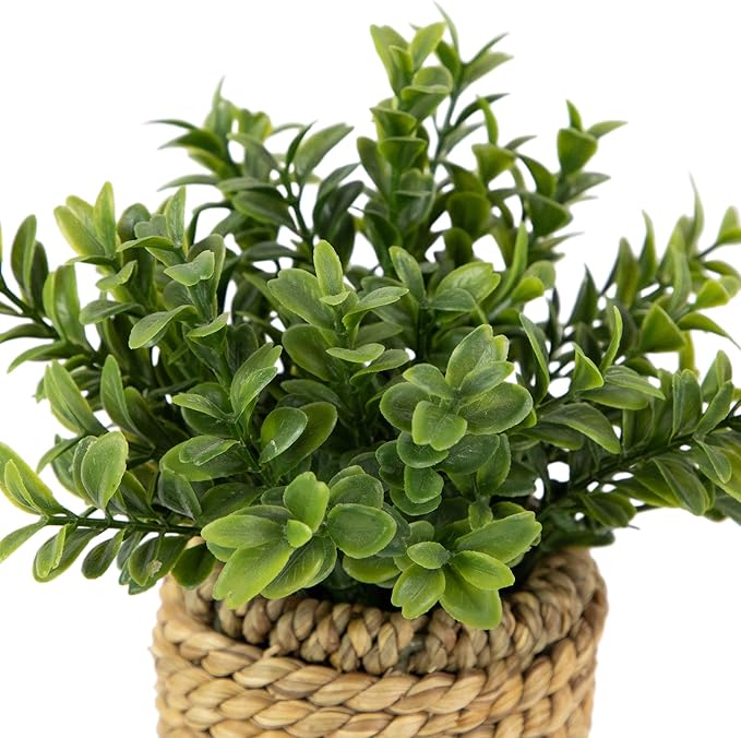 Northlight Milan Leaf Artificial Mini Bush in Rattan Basket - 7"