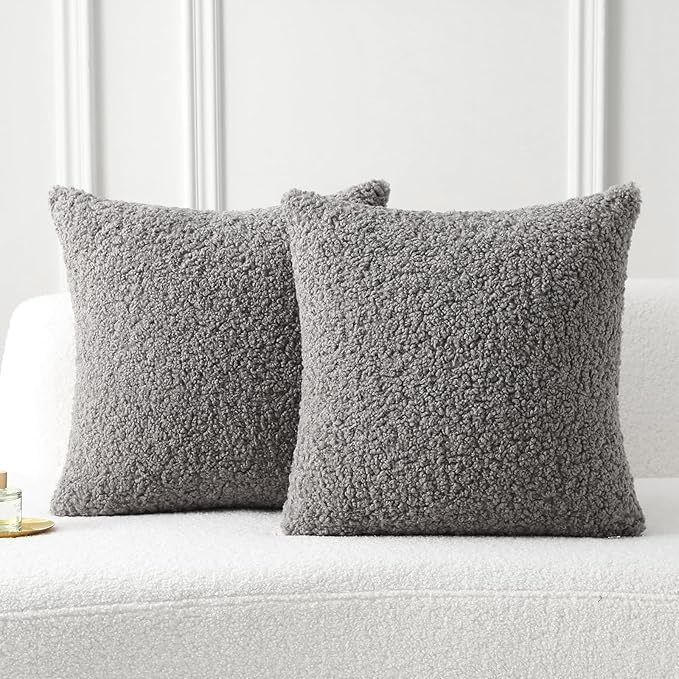 FUTEI Dark Grey Throw Pillow Covers 22x22 Inch Set of 2,Furry Faux Fur Teddy Boucle Textured Cushion Covers,Soft Fluffy Decorative Pillow Case,Home Decor for Couch Bed Living Room Office Car