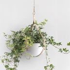 Hajia Waterdrop Shaped Hanging Planter, Metal Plant Hanger with Non-Detachable Pot, Hanging Plant Holder for Wall and Ceiling Decor.(No Plants and Drainage Holes) (Beige, Medium 1 Pack)