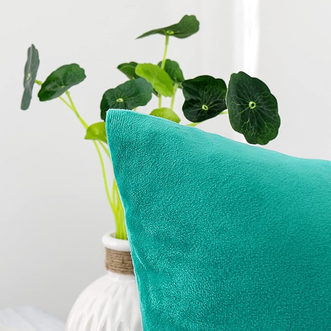 NiNi ALL Decorative Throw Pillow Covers Velvet 16x16 Inch Pack of 2 Aqua Green Cushion Covers Soft for Couch Sofa Bedroom Living Room Outdoor
