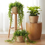 simarro 3 Pack Seagrass Planter Basket, 3 Sizes Stylish Plant Containers Flower Pots with Plastic Lining Woven Baskets for Plants Indoor and Outdoor