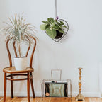 Hajia 2 Pack Heart Shaped Boho Hanging Plant Holder with 6inch Detachable Pot, Black Metal Wall Ceiling Plant Hanger for Indoor Outdoor, Minimalist Small Hanging Planter for Home Wedding Decor