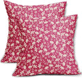 Hot Pink Pillow Covers 16x16 Set of 2 Vintage Floral Rustic Old Style Cute Flower Print Decorative Outdoor Pillowcases Seasonal Farmhouse Throw Cushion Case Decor for Couch Sofa Bed