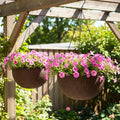 LaLaGreen Hanging Planters for Indoor Plants (11 Inch, 2 Pack) Brown Rattan Style Self-Watering Hanging Flower Pots with Water Level Indicator, Large Plastic Baskets Balcony Porch Home Outdoor Decor