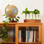 Plant Propagation Station, Plant Terrarium with Wooden Stand, Plants Pots for Hydroponics, Small Birthday Gardening Gifts for Women Mom Plants Lovers Unique - 5 Glass Test Tubes Vases