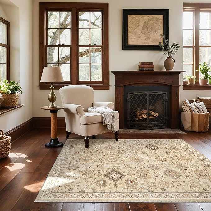 Washable Entryway Small Area Rugs: Door Mat Indoor Entrance 3x5 Rug Stain Resistant Non Slip Soft Carpet Rug for Kitchen Front Door Indoor Entrance Entry Bedroom Kids Room