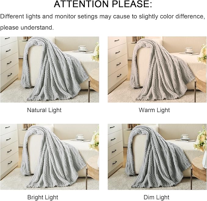 lifein Throw Blanket for Couch-Light Grey Boho Throw Blanket, Soft Fleece Plush Lightweight Blankets&Throws for All Seasons, Fuzzy Decorative Blankets for Livingroom Bed Sofa Chair (50x60, Light Grey)