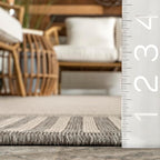 Nuloom Asha Light Grey/Ivory, 5' x 8', Casual, Striped Border, Soft and Cozy, High Traffic, Stain Resistant, Easy Clean, Durable Area Rug for Indoor/Outdoor Patio, Deck, Porch, Garden, Courtyard