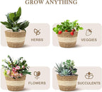 Athaliah Water Hyacinth Plant Basket Set of 3, Woven Planter Baskets with Plastic Liner, Indoor Plant Pot Covers for Potted Plants, Rustic Boho Farmhouse Home Decor