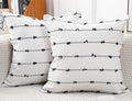 Set of 2 Boho Throw Pillow Covers 22x22,Black Off White Neutral Couch Pillow Case with Tassel Fringe Decorative，Modern Accent Farmhouse Cushion Covers for Sofa Couch Bed Living Room