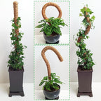Soupiar 2-Pack 28" Bendable Moss Pole for Monstera, Rust-Free Aluminum Core Plant Support Stakes, Sturdy Stakes to Train & Grow Indoor Climbing Plants Upright (13.2ft Jute Rope Included)