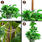 2 Pack 25" Moss Pole, Bendable Moss Pole for Plants Monstera, Moss Poles for Climbing Plants Indoor, Handmade Coco Coir Plant Pole Sticks Support Stakes for Potted Plants