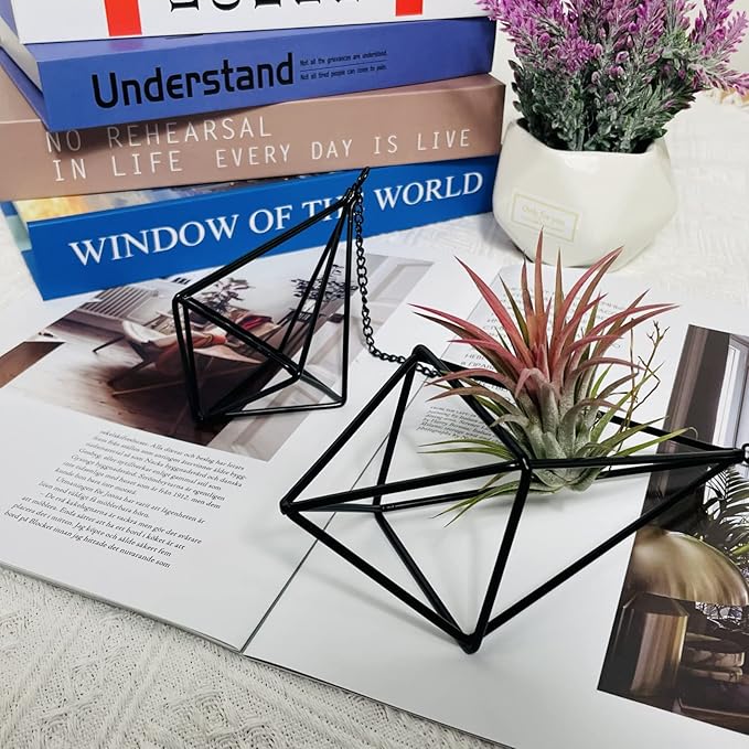Tillandsia Air Plant Holder Black Geometric Hanging Air Plant Holders Unique for Wall Decor Xerographica Air Plant Hanger for Indoor Decor Himmeli Geometric Decor (5Pcs)