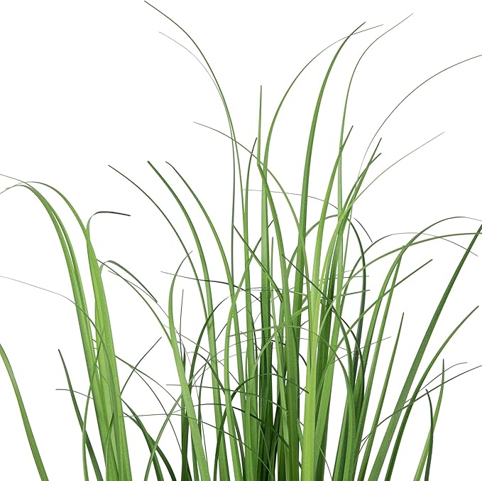 Northlight Artificial Onion Grass Plant in Basket, 28", Green
