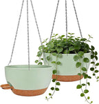 12 Inch Self Watering Hanging Planters 2 Pack, Indoor Outdoor Hanging Pots for Plants with Drainage Holes & Saucers, Green Brown Plastic Hanging Baskets for Kitchen Balcony Garden