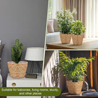 4PCS Straw Woven Plant Basket Middle Premium Seagrass Planter Basket with Plastic Lining Natural Stylish Planter Baskets Indoor Outdoor Plants Woven Wicker Baskets for Plants Flower Pots