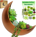 Wall Planter - Window Planter - 14Pcs Artificial Succulents - Hanging Moon Planter - Boho Hanging Planters for Indoor Plants, Air Plant, Cactus, Faux, Unique Gifts for Women, Birthdays, Plant Lovers
