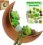 Wall Planter - Window Planter - 14Pcs Artificial Succulents - Hanging Moon Planter - Boho Hanging Planters for Indoor Plants, Air Plant, Cactus, Faux, Unique Gifts for Women, Birthdays, Plant Lovers