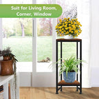 Plant Stand Indoor, Tall Plant stands for Indoor Outdoor Plants, 2 Tier Heavy Duty Plant Shelf 31" Metal Pedestal Stand Modern Corner Flower Stand for Patio, Living Room, Balcony