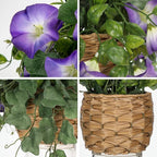 Briful Faux Floral Centerpieces with Rattan Basket Artificial Potted Morning Glory Silk Flowers Fake Flower Arrangement for Home Office Dining Room Table Wedding Party Decor(Purple)