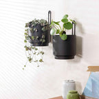 2 Pcs Wall Mounted Hanging Planter Vase for Indoor and Outdoor Plants Modern Metal Wall and Ceiling Planter Minimalist Flower Pot (Black, 5.91 inch)