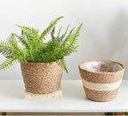 Seagrass Basket Planter, Flower Pot Cover, Storage Basket, Plant Container, Hand Woven, Plastic Liner, Beige, 7 Inch, Indoor/Outdoor