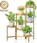 7 Tiered Metal Corner Plant Stand Indoor Outdoor, Tall Large Folding Rack with Rust Proof 10 Inch Wide Tray, Heavy Duty Flower Shelf for Multiple Plants for Patio - GoldWave