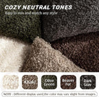 Foindtower 2 Pieces 22x22 Inch Dark Gray, Faux Fur Throw Pillow Cover Accent Sherpa Furry Pillow Covers Fuzzy Soft Pillowcases Cozy Sheepskin Decorative Fleece Cushion Case for Bed Couch Living Room