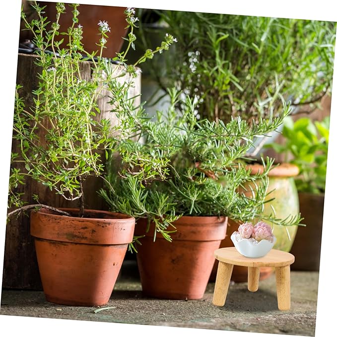 Boho Plant Stands Indoor Wooden Stool Display Stand for Home Minimalist Design