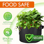 Gardzen 10-Pack 2 Gallon Grow Bags, 300G Thickened Fabric Grow Bags with Handles, Heavy Duty Aeration Plant Grow Bags