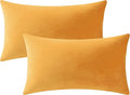 Lumbar Pillow Covers 12x20 Mustard Yellow: Pack of 2 Cozy Soft Velvet Rectangular Modern Luxury Decorative Throw Pillow Cases for Sofa Couch Living Room Bed Home Decor